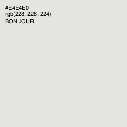#E4E4E0 - Bon Jour Color Image